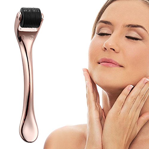 Beauty Microneedle Derma Roller – Titanium 540 Needle Roller