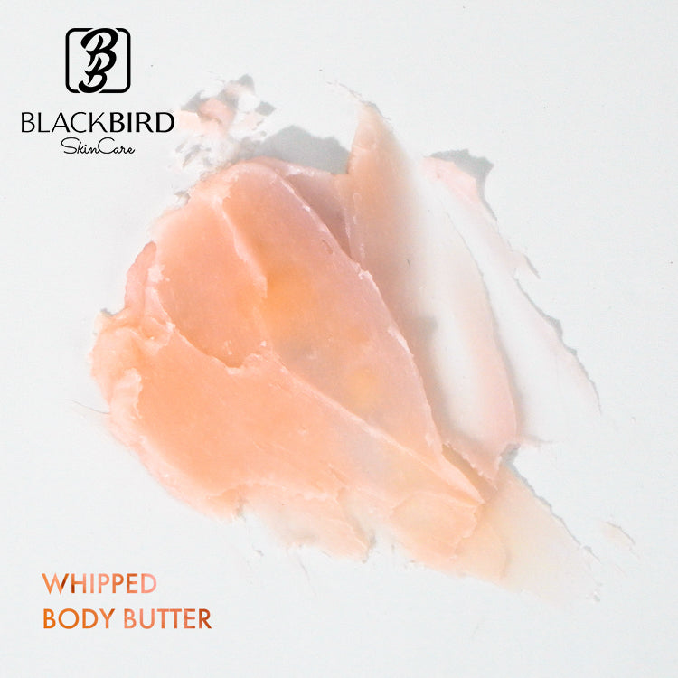 BLACKBIRD Whipped Body Butter