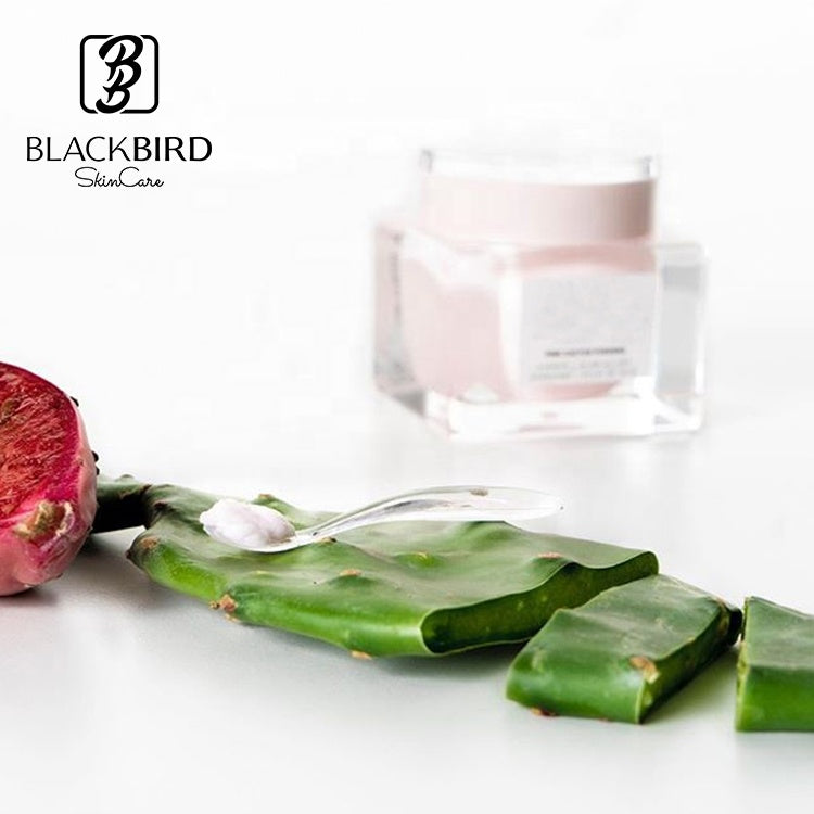 BLACKBIRD Pink Cactus Face Pudding