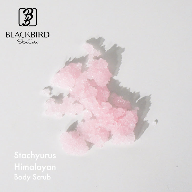 BLACKBIRD Himalayan Pink Scrub