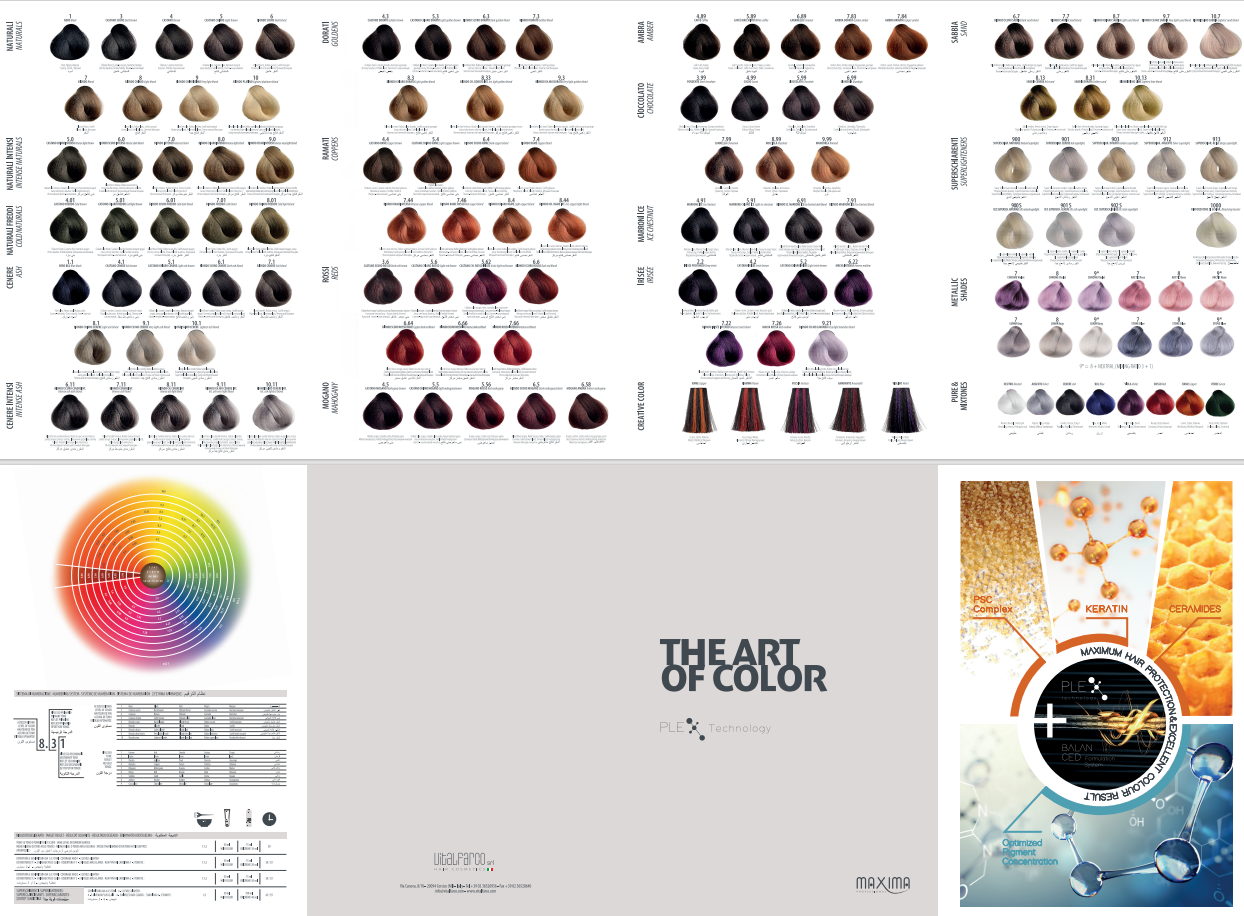 MAXIMA The Art of Colour Chart