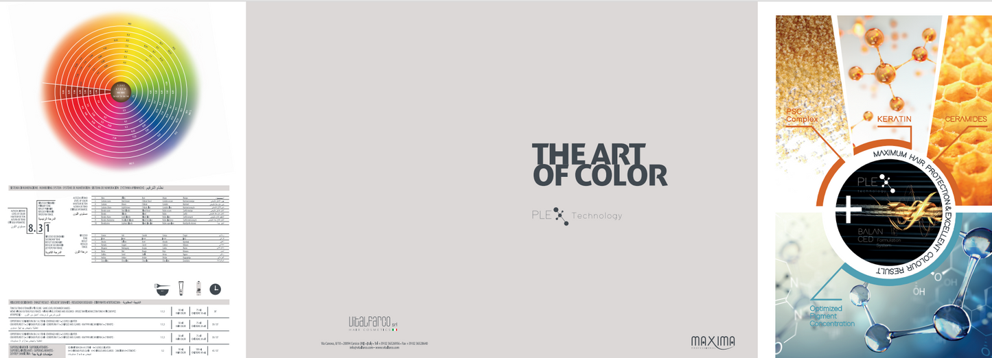 MAXIMA The Art of Colour Chart