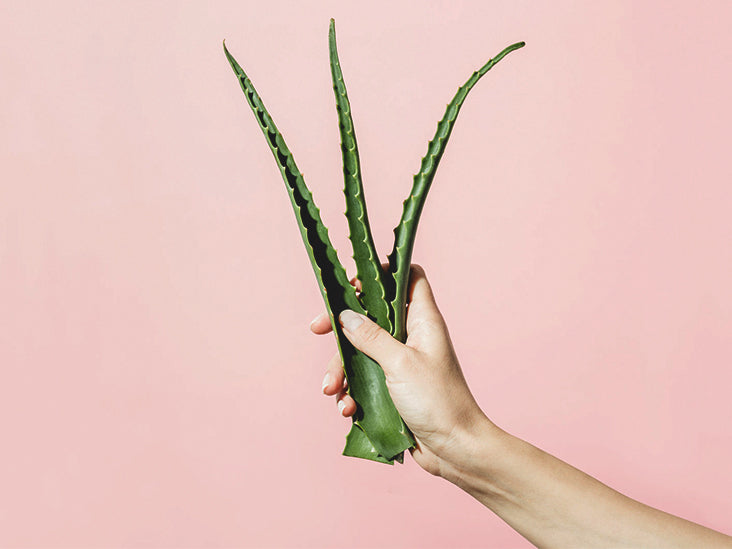 LIYALAN Organic Aloe Vera Cream