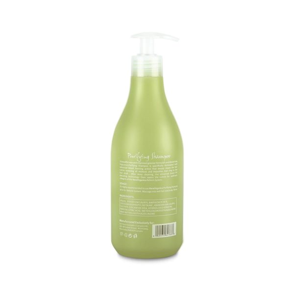 KERAORGANICA Reform System Purifying Shampoo
