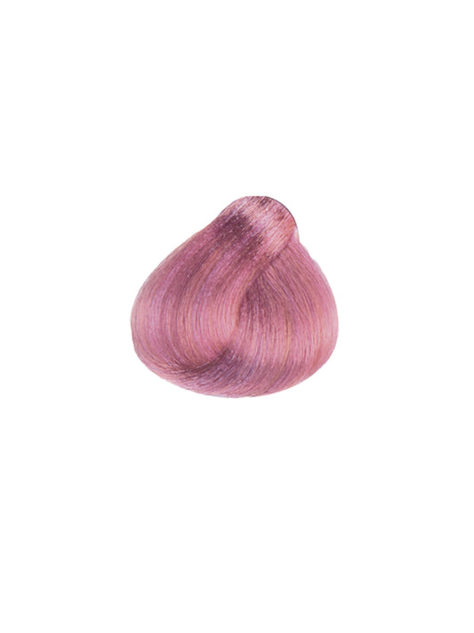 MAXIMA 7 Arctic Rose