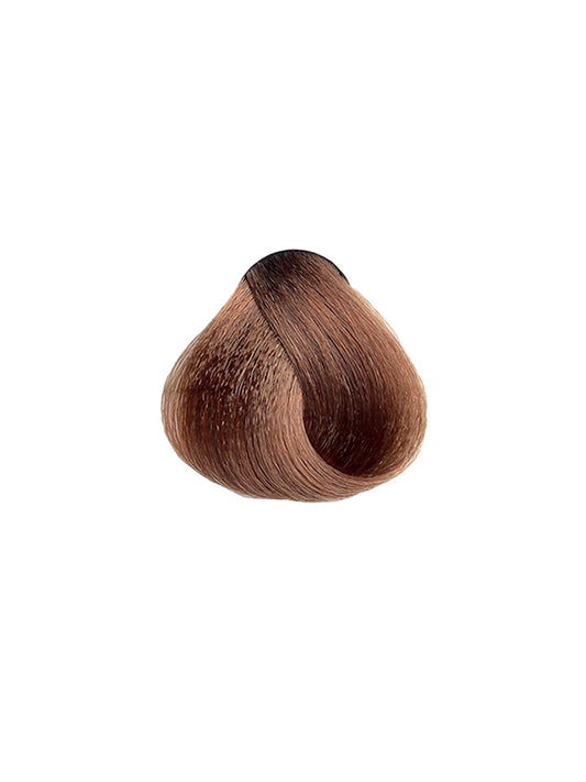 MAXIMA 8.99 Hazelnut