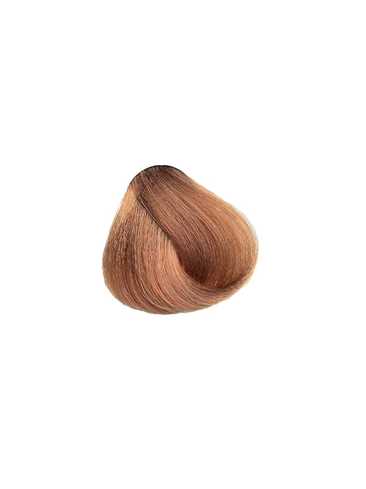MAXIMA 9.99 Almond