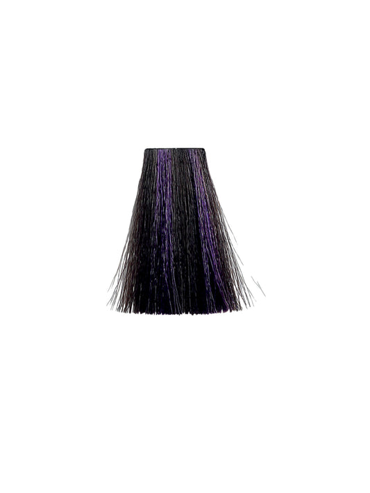 MAXIMA Violet (Creative)