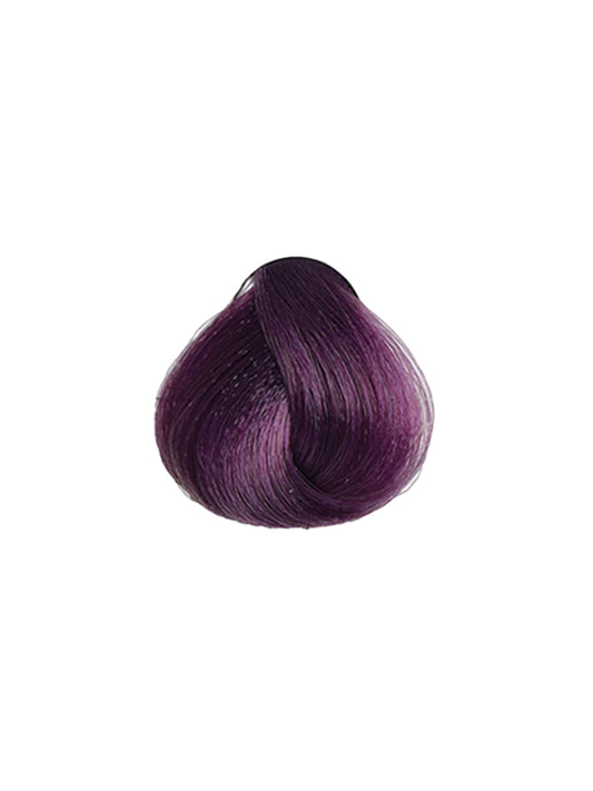 MAXIMA Violet